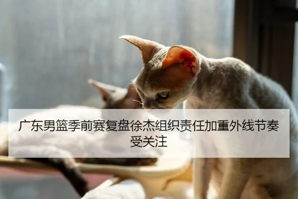 广东男篮季前赛复盘徐杰组织责任加重外线节奏受关注